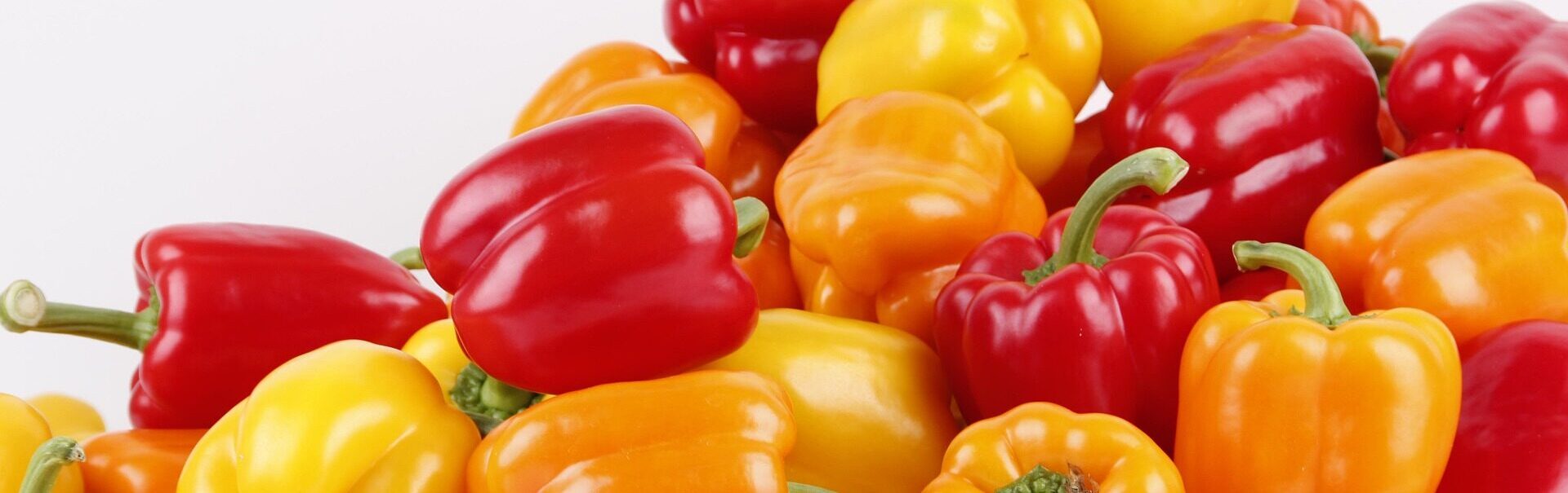 ぱぷりかブログ