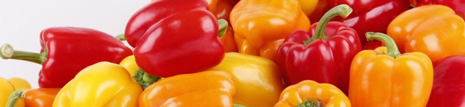 ぱぷりかブログ